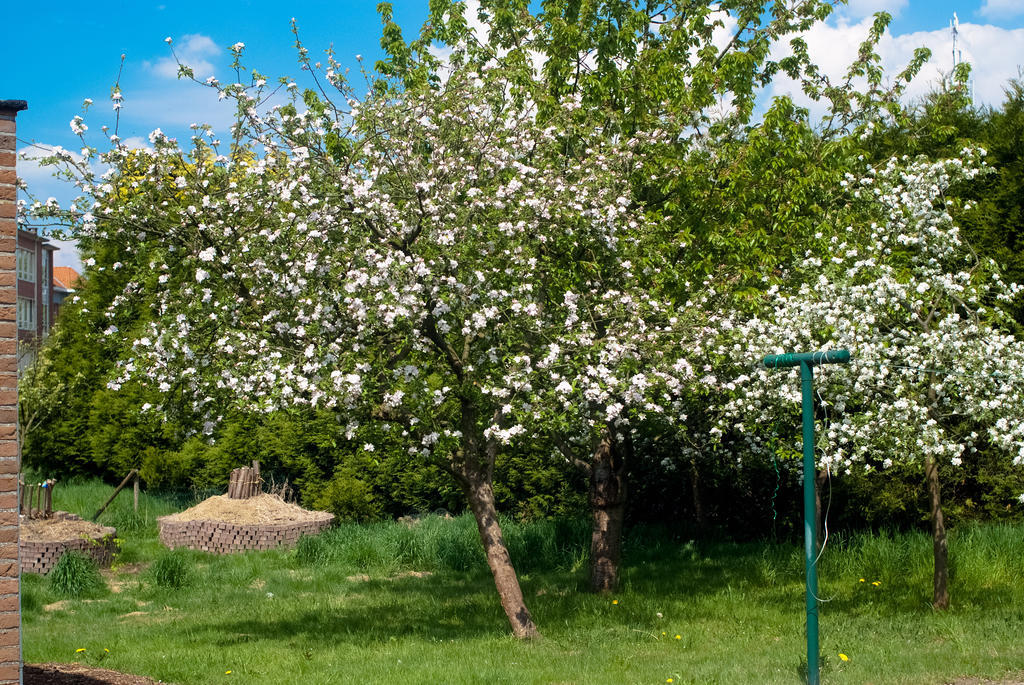 'T Bruggeske Villa Mol Bagian luar foto